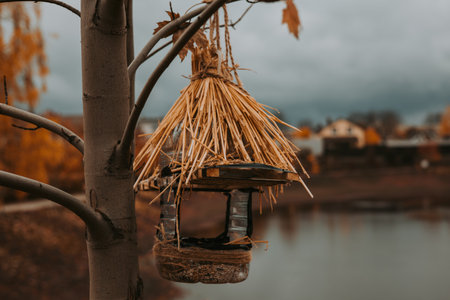 Autumn bird feeder hanging from a tree with fall foliage and a lake in the background. A handmade bird feeder hangs from a tree branch, surrounded by autumn leaves and a serene lake view Bird watchingの写真素材