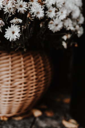 White mum flowers in a woven basket with autumn leaves, a cozy fall scene. A rustic arrangement of white autumnal blooms in a wicker basket, surrounded by fallen leaves.の写真素材