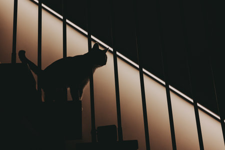 A cat walking down stylish wooden stairs in a cozy home interior with soft warm lighting. Minimalist architecture, modern design, calm evening atmosphere Lifestyle blogs, home decor and comfort livingの写真素材