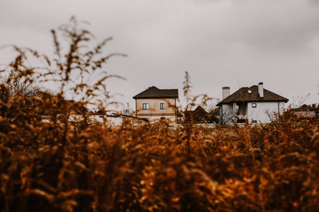 Gora, Kyiv region 1 November 2025 Houses in the distance with tall grass in the foreground on a cloudy day. A serene view of cottages nestled amidst tall, golden grass in a meadow. Suburban aria.のeditorial素材