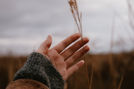 Hand gently touching a delicate reed against a soft, blurred background. A person's hand reaches out to touch a dry grasses, capturing a moment of connection with fall nature and the outdoors leisure.の写真素材