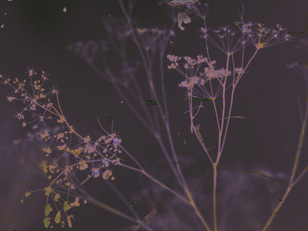 Abstract floral art with delicate stems, a moody vintage aesthetic. Artistic botanical image soft...