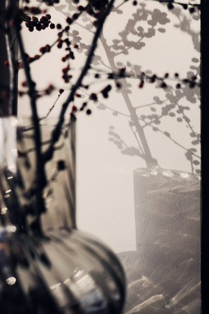 Aesthetic close-up of dry branches with red berries in a glass vase against a wall with soft...