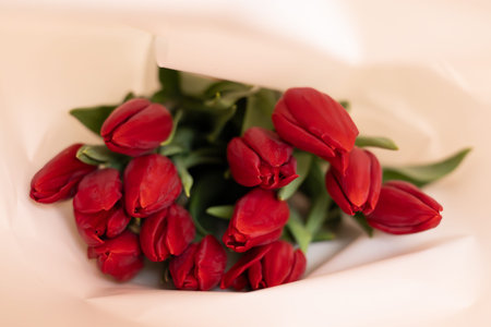 Bouquet of red tulips in white paper wrapping on a soft blurred background. Minimalist floral still...