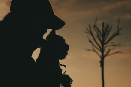 Silhouette of a woman holding a small Yorkshire terrier dog at sunset. Golden hour sky, emotional bond, pet friendship, leafless tree, moody atmosphere, and peaceful twilight outdoors photography.の写真素材