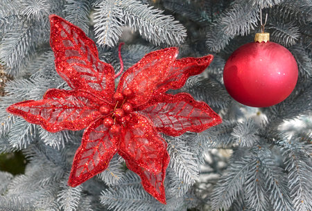 Red decorative flower and ball with on Christmas treeの写真素材