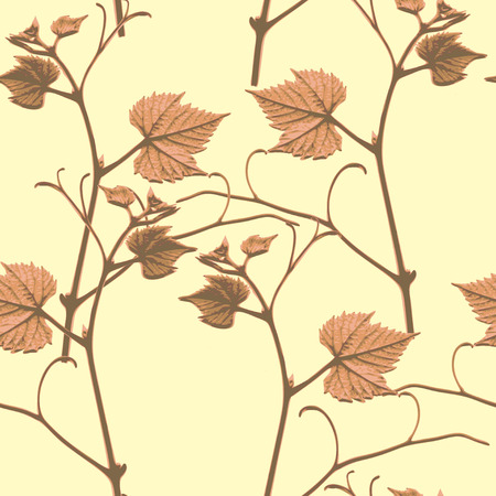 Vector graphic, artistic, stylized image of seamless pattern branches of grape leavesのイラスト素材
