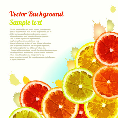 Vector greeting card, background with the image slices of orange, lemon, lime. Can be used to design advertising citrus. Space for text.のイラスト素材