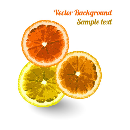 Vector greeting card, background with the image slices of orange, lemon, lime. Can be used to design advertising citrus. Space for text.のイラスト素材