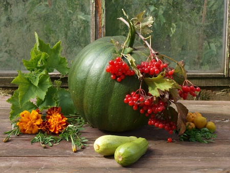 Grown on a summer residenceの写真素材