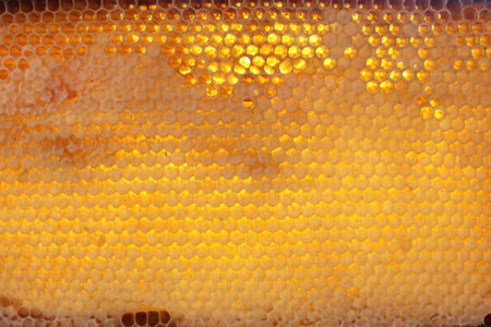 Drop of bee honey drip from hexagonal honeycombs filled with golden nectarの写真素材
