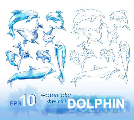 Set of pencil sketches and watercolor images of dolphins. Vector illustration.のイラスト素材