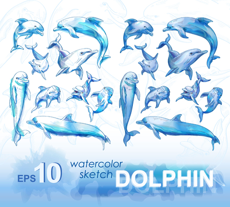 Set of pencil sketches and watercolor images of dolphins. Vector illustration.のイラスト素材