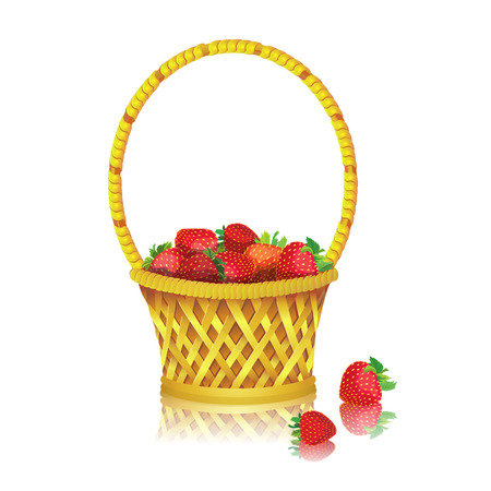 Basket with strawberries on a white background.のイラスト素材