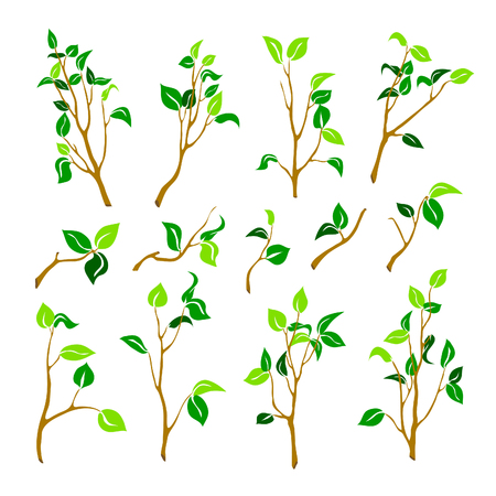 Set of different branches in silhouette style.のイラスト素材