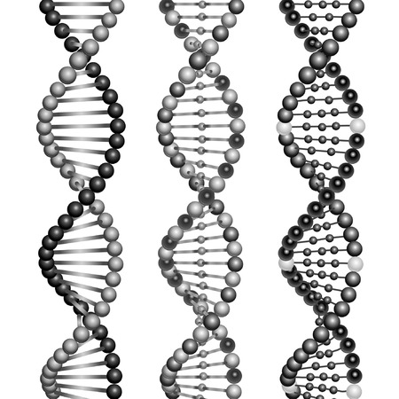 Three types of DNA molecules.のイラスト素材