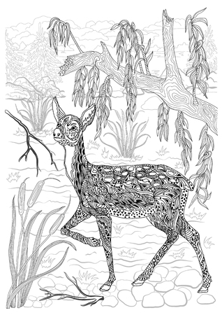 Coloring for adults. Young deer in the wild. The body is decorated with deer ornament. Hand drawing.のイラスト素材