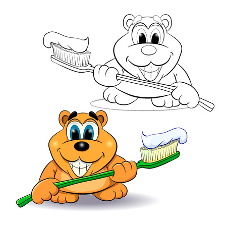 Funny cartoon bear with a toothbrush, which cleans teeth. Color Image and coloring page.のイラスト素材