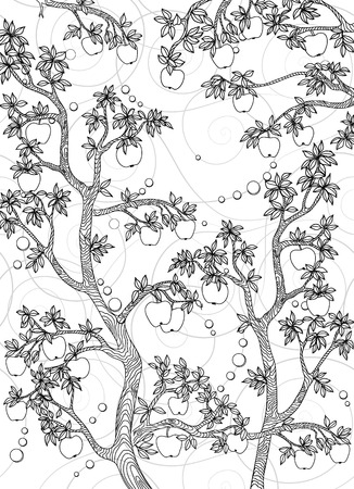 Contour coloring for adults. Apple trees with fruit.のイラスト素材