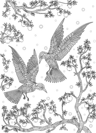 Hand drawn bird - Birds on a branch apple-tree. Coloring page.のイラスト素材