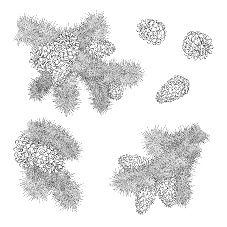 Hand drawn Set of Christmas fir branches with cones on white background. Vector illustration. Coloring page.のイラスト素材