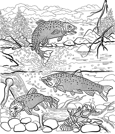 Underwater life on the river. Trout and cancer swim under water. In the background depicts a forest landscape. Hand drawn. Coloring page.のイラスト素材