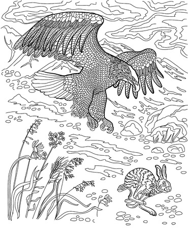 Eagle hunting wild hare. Coloring book for adults.のイラスト素材