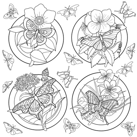 Coloring page for adults with butterflies and flowers.のイラスト素材