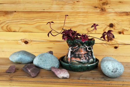 Still life. Stones and a vase with a flower on the background of wooden wall.の写真素材