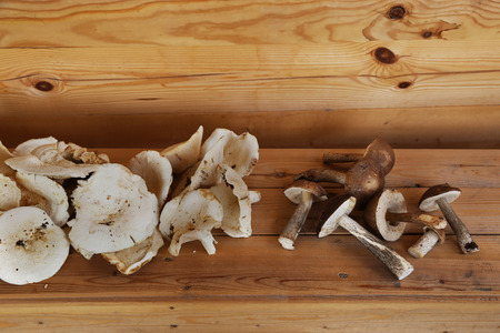 Fresh wild mushrooms on a wooden plank surface.の写真素材
