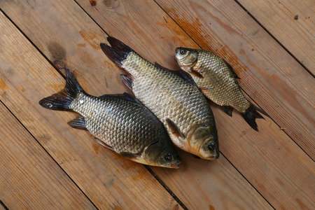 Three River fish crucian on a wooden floor.の写真素材