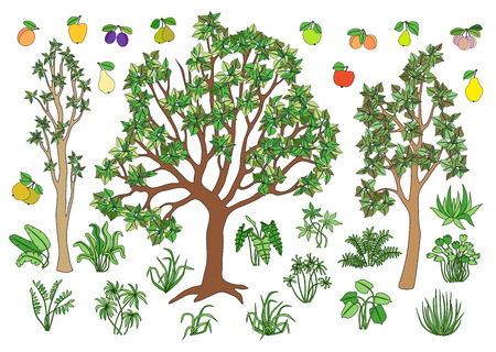 Set elements for your landscape: trees, bushes, grass, fruit.のイラスト素材