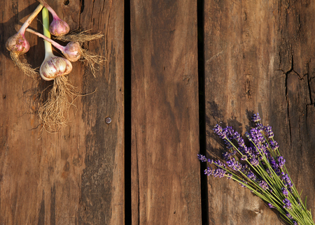 Lavender flower and garlic on old wooden backgroundの写真素材