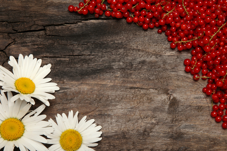 Red currant and chamomile on the old wooden backgroundの写真素材