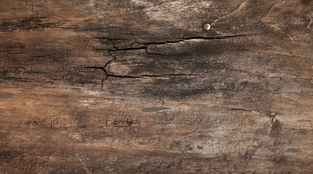 Rustic wooden table backgroundの写真素材