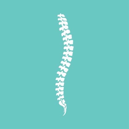 Vector human spine icon isolated silhouette illustration.のイラスト素材