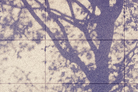 Tree shadow on wall Natural Abstract background