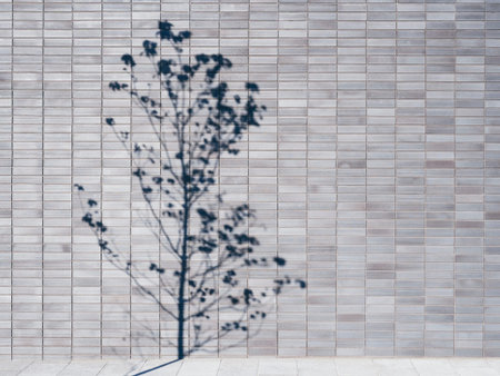 Tree Shadow on Wall Tiles pattern Background Architecture details outdoor