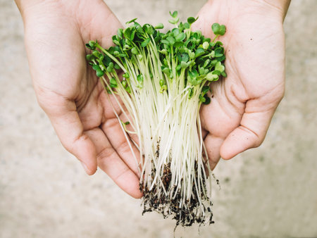 Hand holding Vegetable Organic Farm product in Farmer Hand