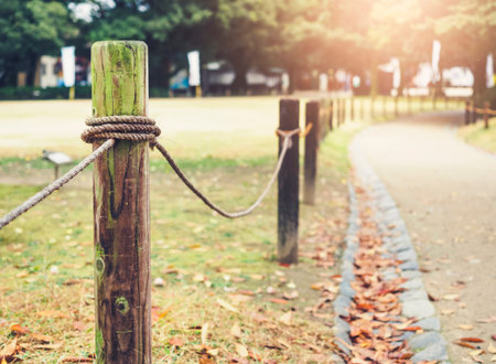 Park walkway with Morning sunrise Nature Outdoor Background
