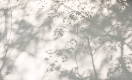 Tree leaves shadow on wall Nature Abstract background