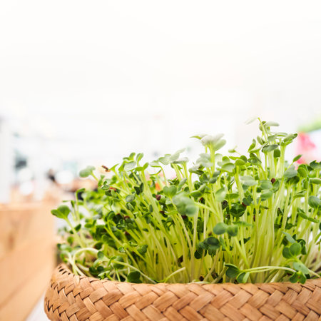 Organic green vegetable in Basket Healthy eating lifestyleの写真素材