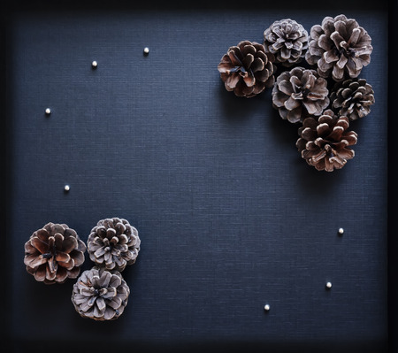 Pine cone Christmas decoration elements Border corner on Black backgroundの写真素材