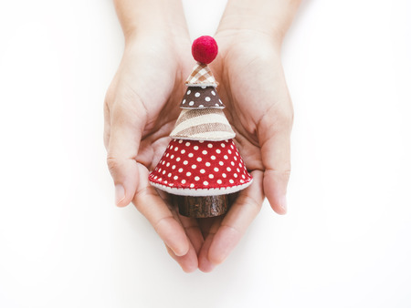 Hand holding Christmas gift Christmas tree craftの写真素材