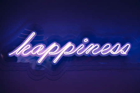 Happiness Neon Sign Light signage Type Holiday event decorationの写真素材
