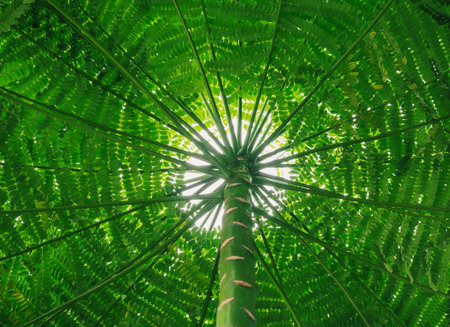 Green Plant Tree trunk texture Nature Abstract Backgroundの写真素材