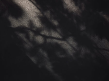 Tree leaf shadow blur light Black background