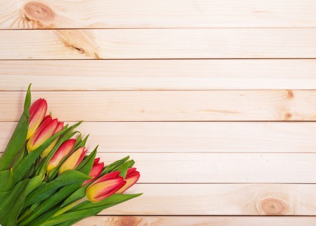 Fresh tulips on a background of light wooden boardsの写真素材