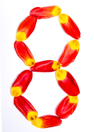 digit eight of red-yellow petals of tulip on white backgroundの写真素材