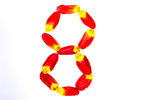 digit eight of red-yellow petals of tulip on white backgroundの写真素材